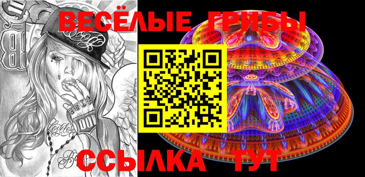 Псилоцибиновые грибы прущие грибы  Вход с VPN  Шебекино 