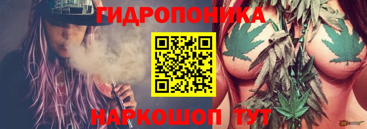 Конопля конопля  Бошки Шишки ГИДРОПОН  Канабис планчик  Вход с VPN  Шебекино 