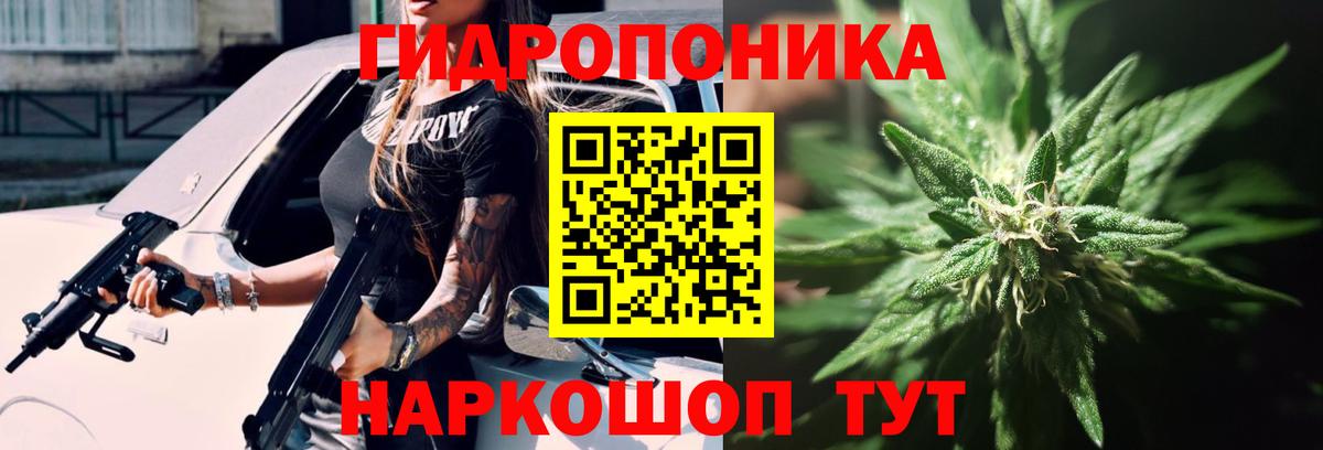 Бошки Шишки гибрид Шебекино